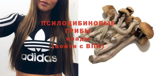 трава Ельня