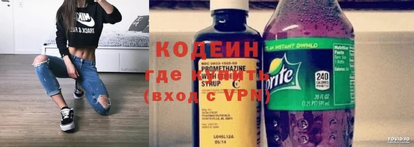 трава Ельня