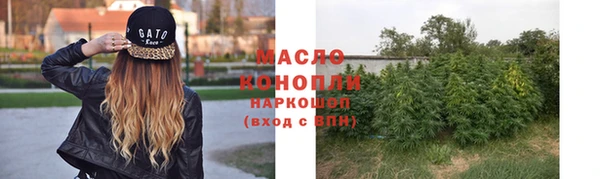трава Ельня