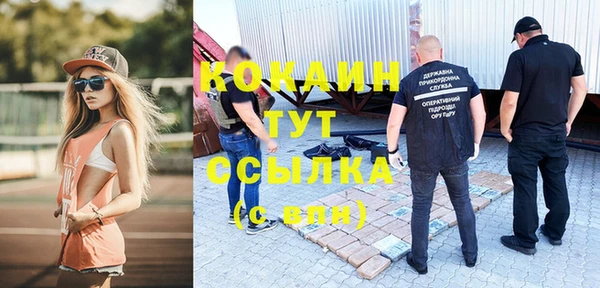 трава Ельня