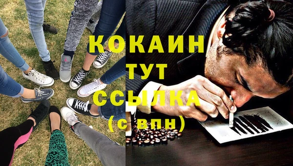 трава Ельня