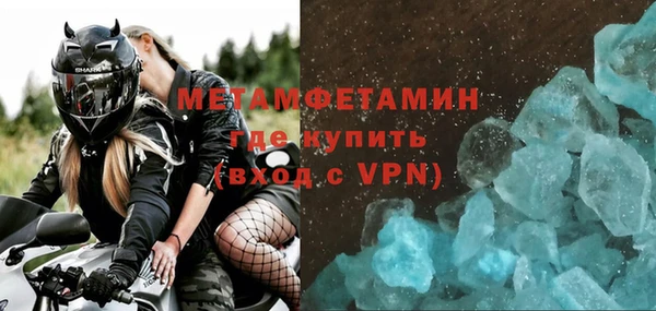 трава Ельня