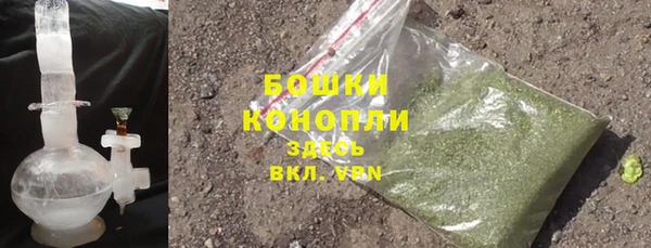 трава Ельня
