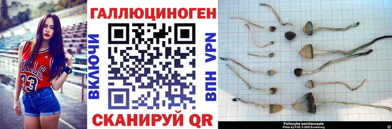 Галлюциногенные грибы Psilocybine cubensis Радужный